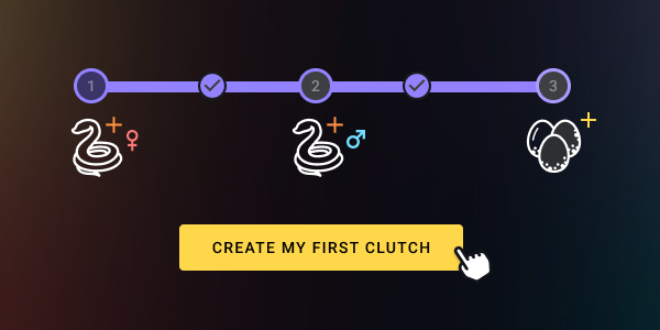 Create My First Clutch Button