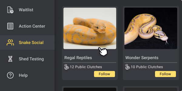Snake Social User